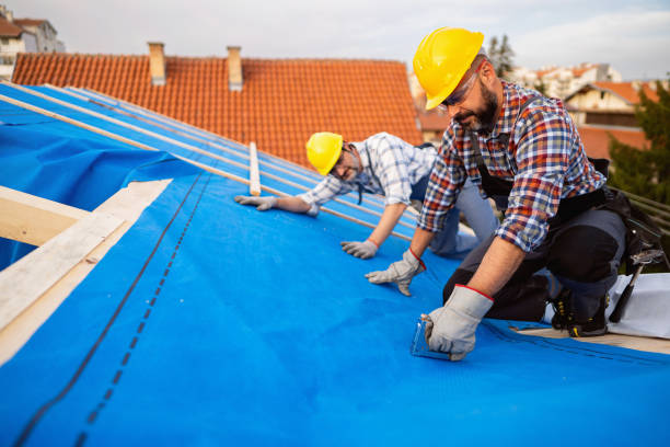 Professional Roofing Contractor in St Georges, DE